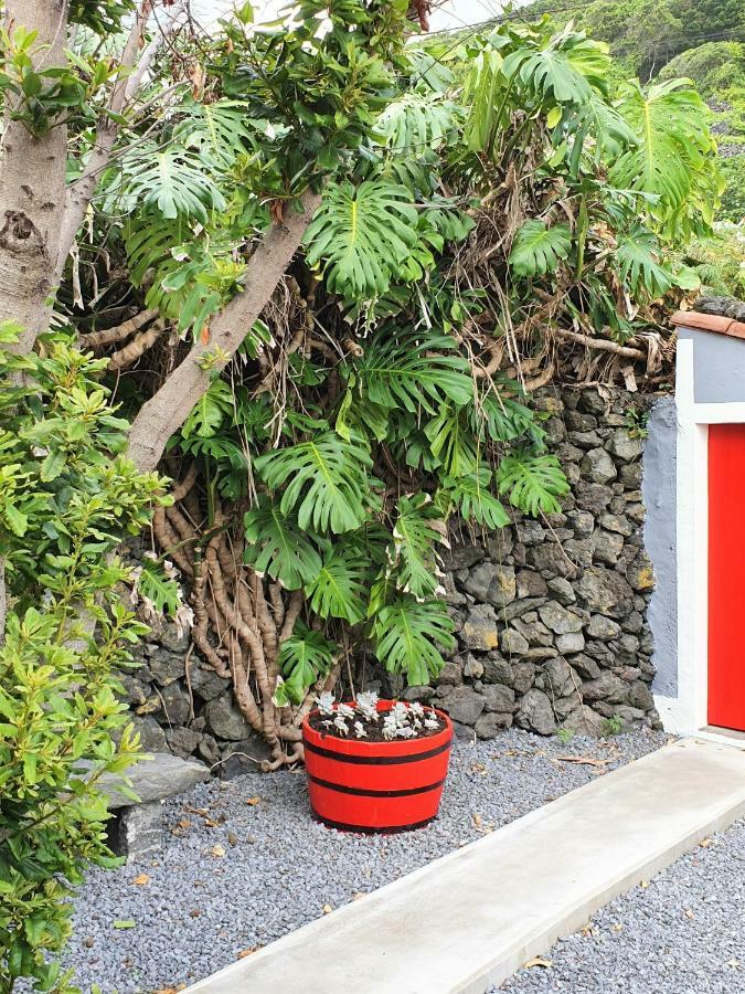 Casinha De Nesquim Villa Calheta de Nesquim Екстериор снимка